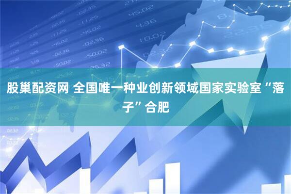 股巢配资网 全国唯一种业创新领域国家实验室“落子”合肥