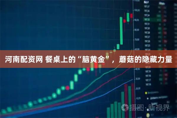河南配资网 餐桌上的“脑黄金”，蘑菇的隐藏力量